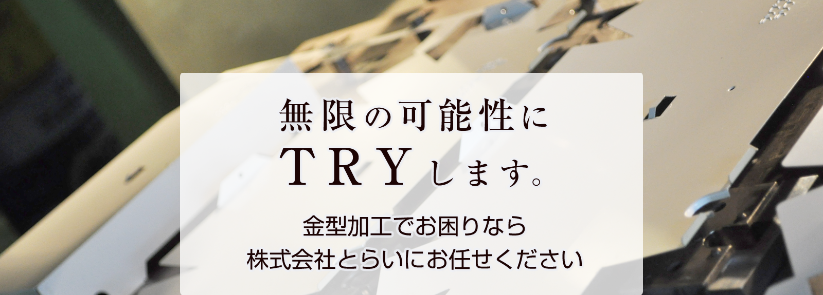 株式会社とらい